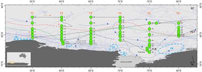 Drivers of phytoplankton distribution, abundance and community composition off East Antarctica, from 55-80°E (CCAMLR Division 58.4.2 East)